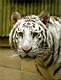 zoo9_filtered.JPG